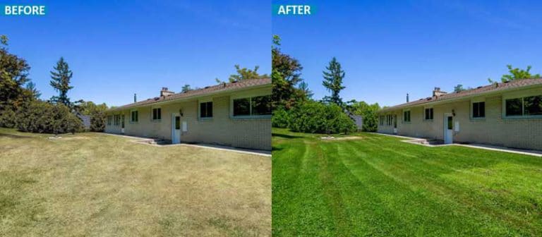 real estate photo editing services usa