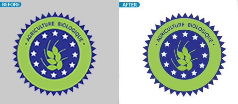 vector conversion service